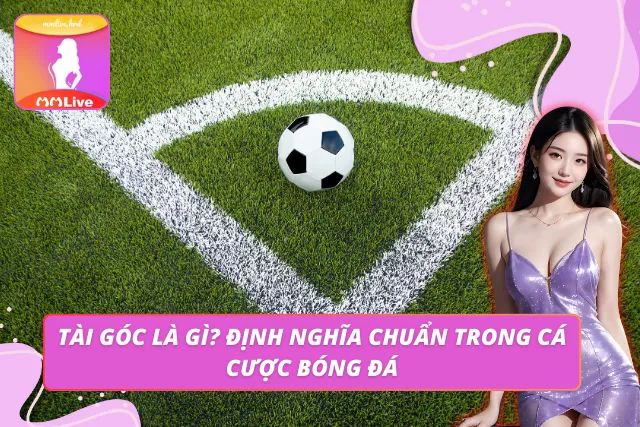 Minh họa kèo tài góc là gì qua bảng tỷ lệ trên MMLIVE